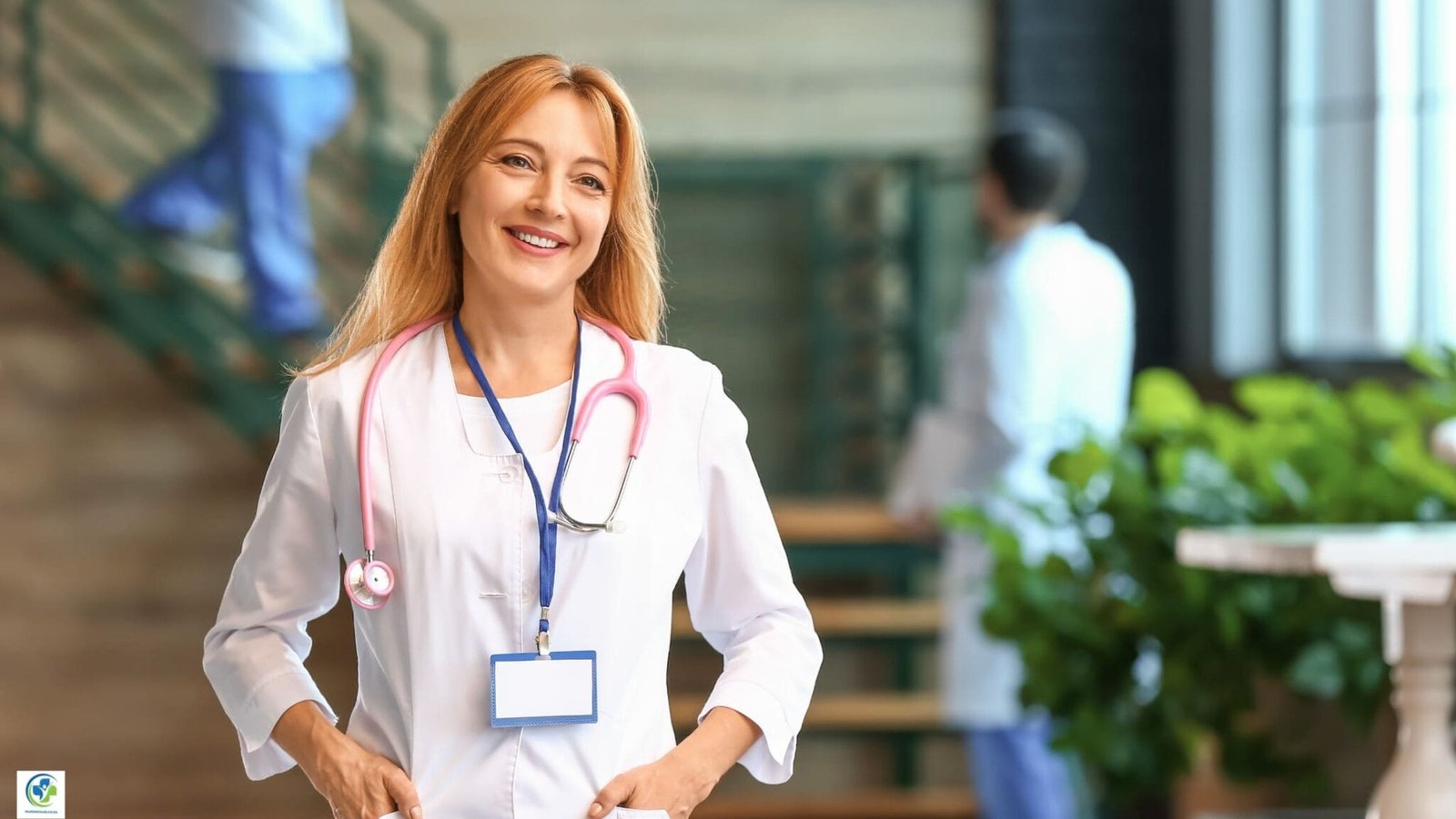 How To Log Into SANC ERegister (2024)